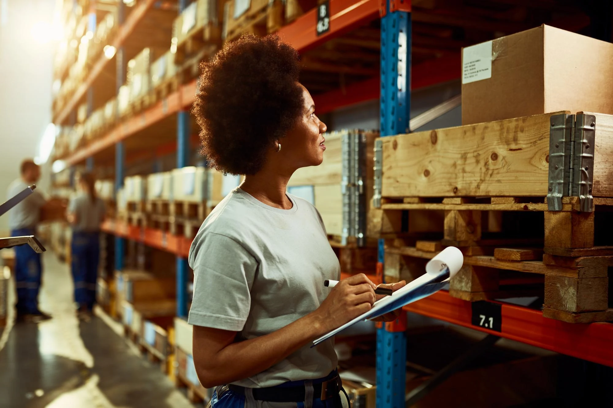 BSc Procurement Management thumbnail